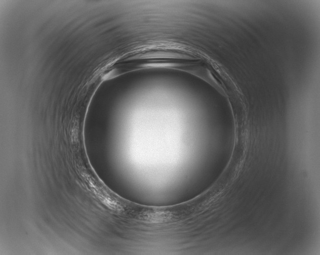 X0000086250833200703291404