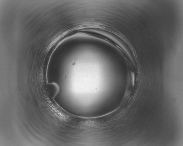 X0000086250834200703291404