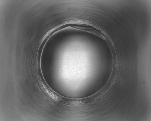 X0000086250837200703291404