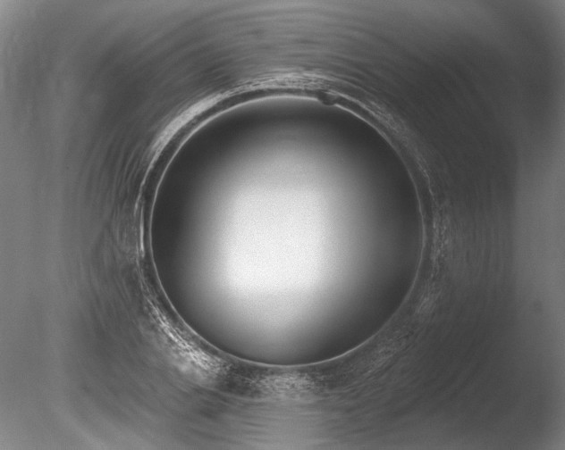 X0000086250838200703291404