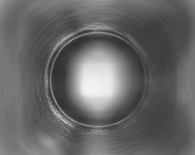 X0000086250840200703291404