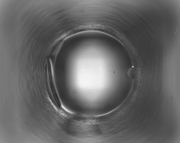 X0000086250841200703291404
