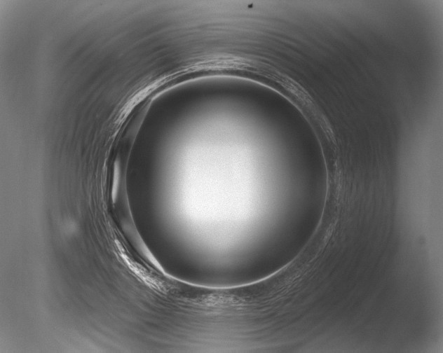 X0000086250842200703291404