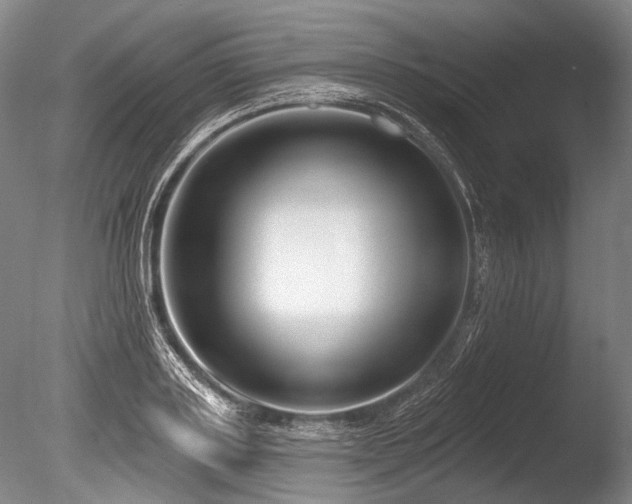 X0000086250843200703291404