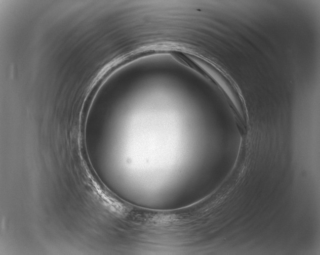X0000086250845200703291404