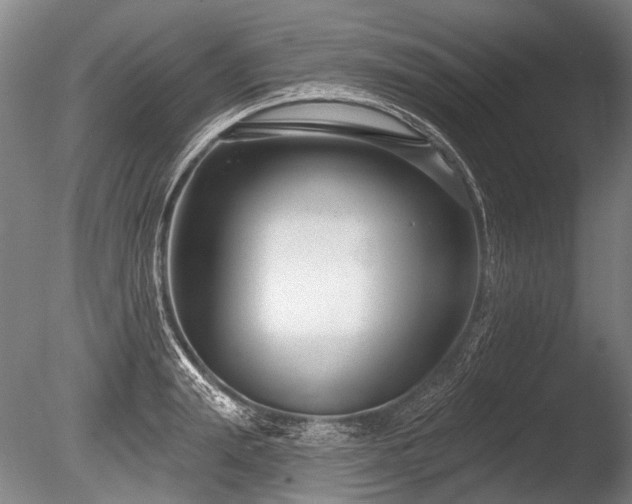 X0000086250847200703291405