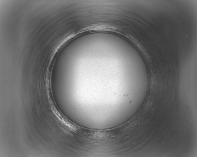 X0000086250848200703291405