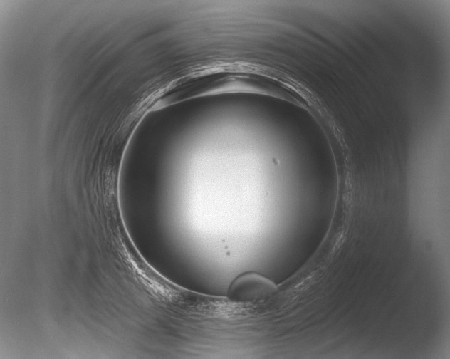 X0000086250849200703291405