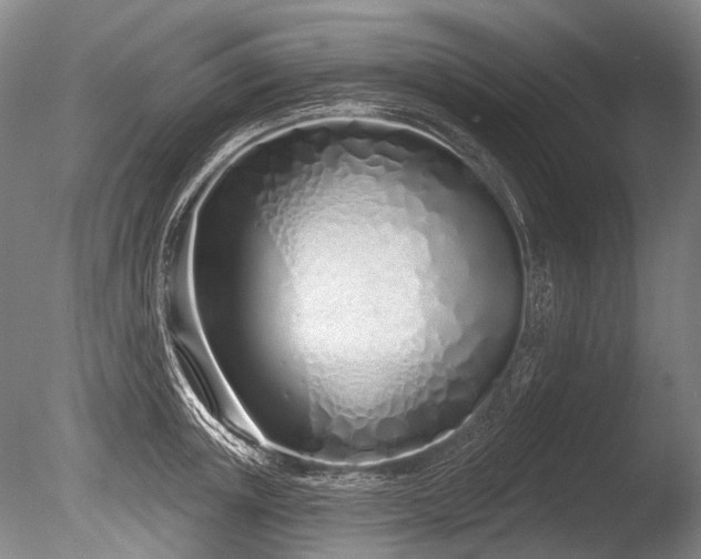 X0000086250851200703291405