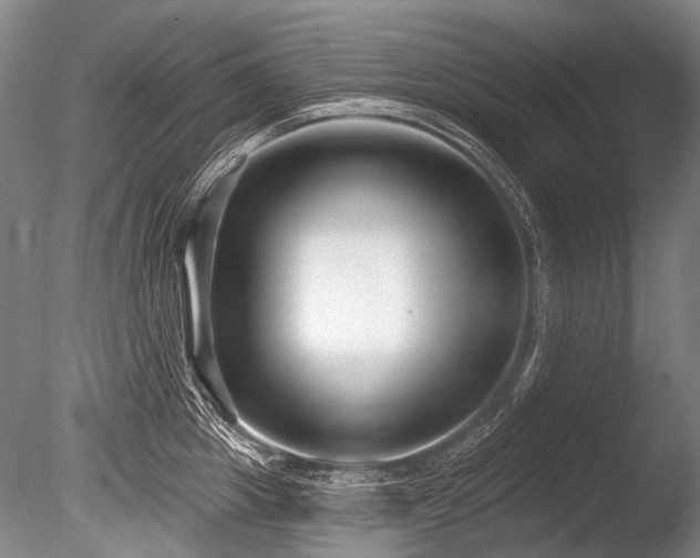 X0000086250857200703291405