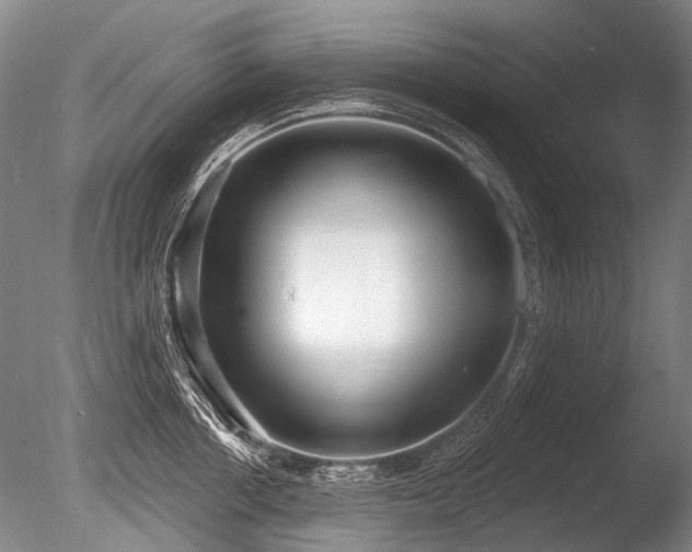 X0000086250858200703291405