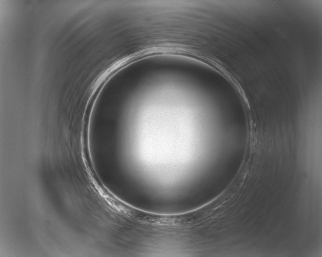 X0000086250861200703291405