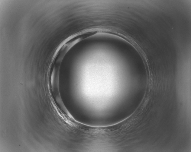 X0000086250862200703291405