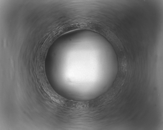X0000086250865200703291404