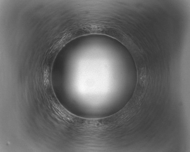 X0000086250866200703291404