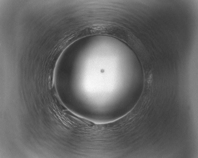 X0000086250868200703291404