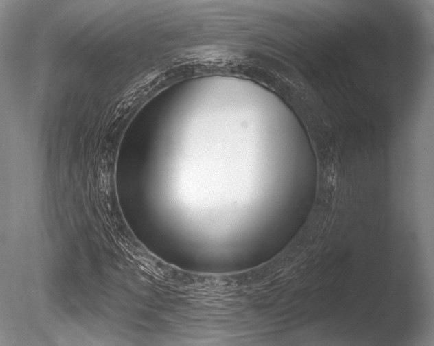 X0000086250869200703291404
