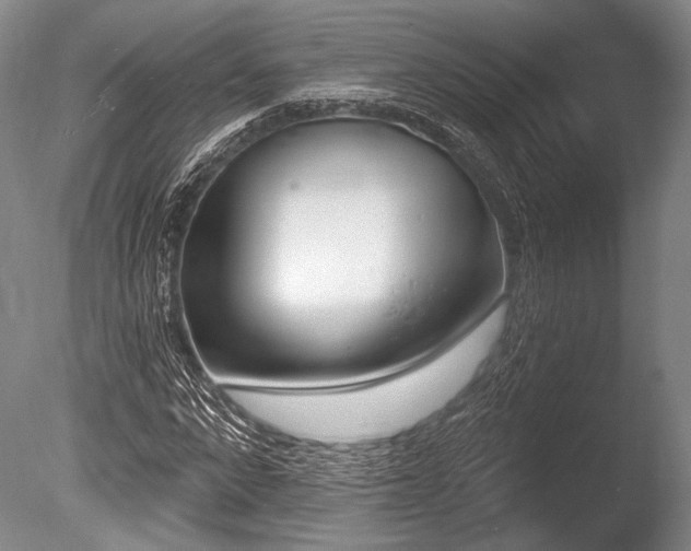 X0000086250872200703291404
