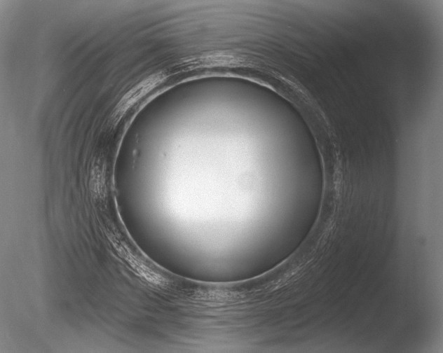 X0000086250873200703291404