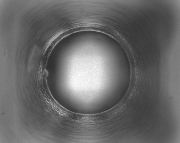 X0000086250875200703291404