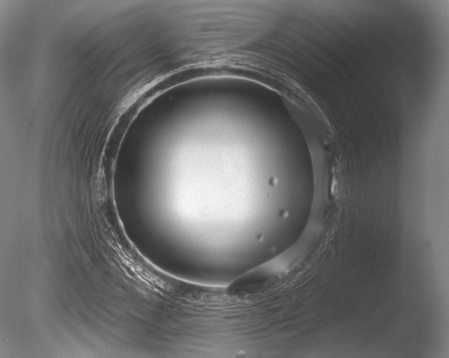 X0000086250876200703291404