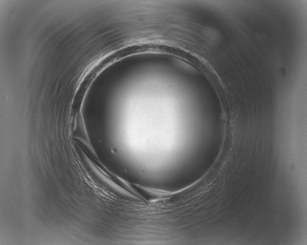 X0000086250879200703291404