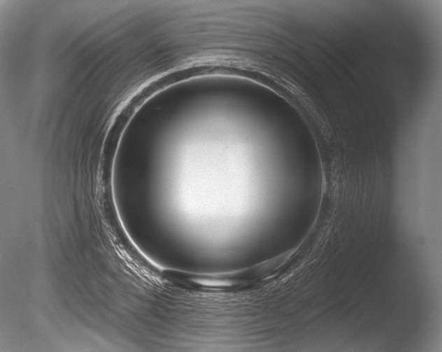 X0000086250880200703291404