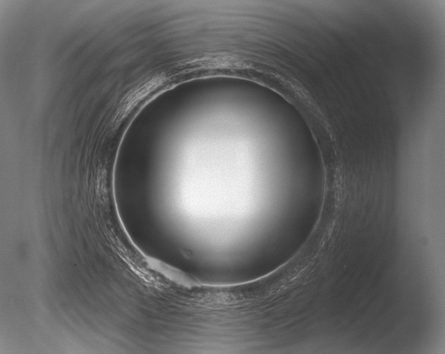 X0000086250881200703291404