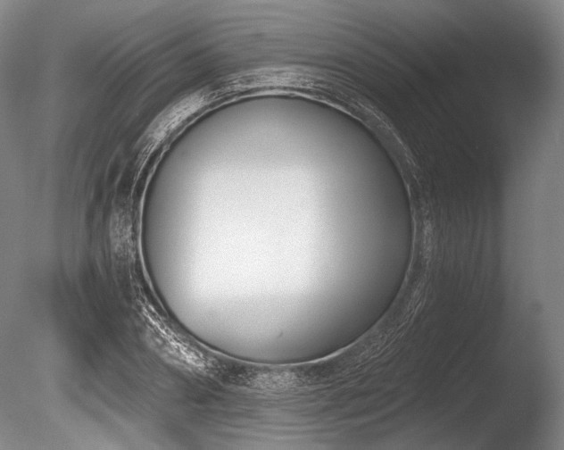 X0000086250882200703291404