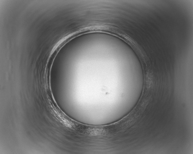 X0000086250886200703291404
