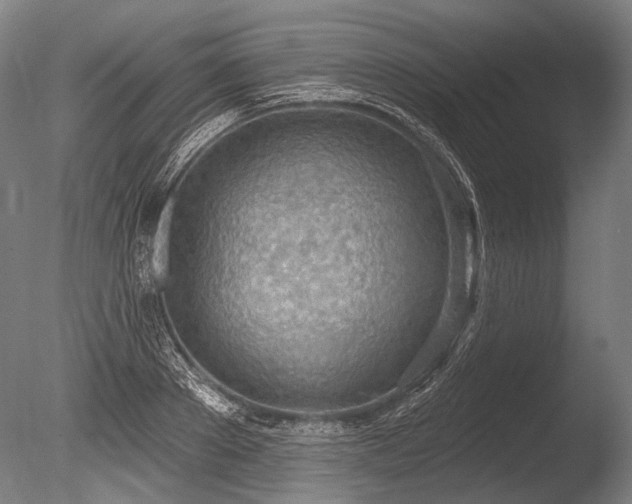 X0000086250889200703291404
