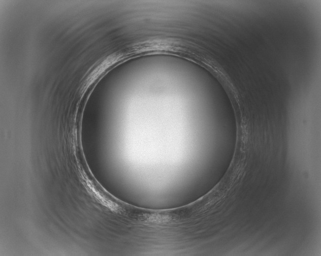X0000086250890200703291404