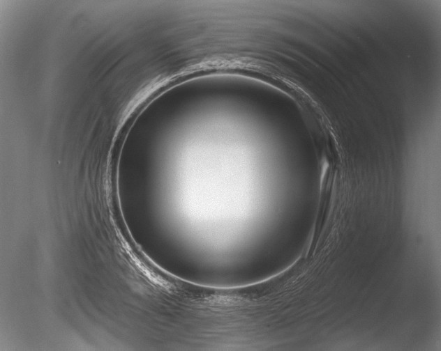 X0000086250894200703291403