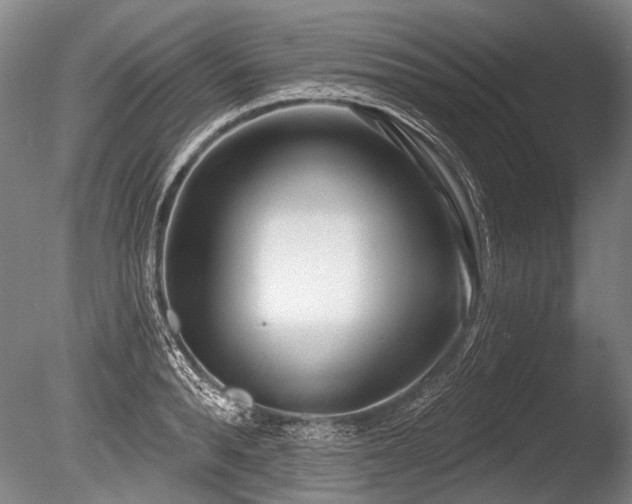 X0000086250896200703291403
