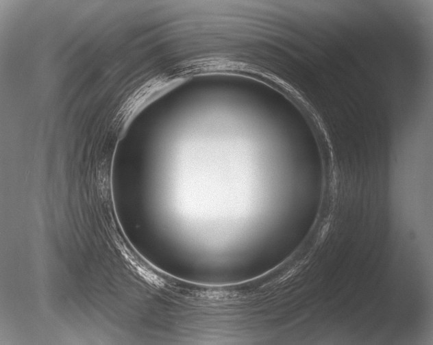 X0000086250897200703291403
