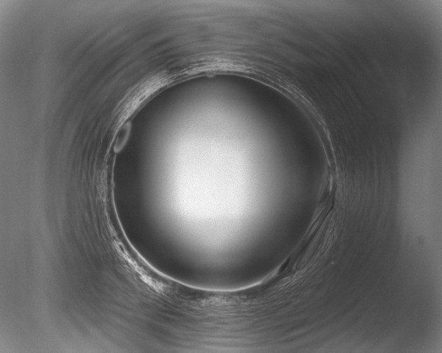 X0000086250898200703291403