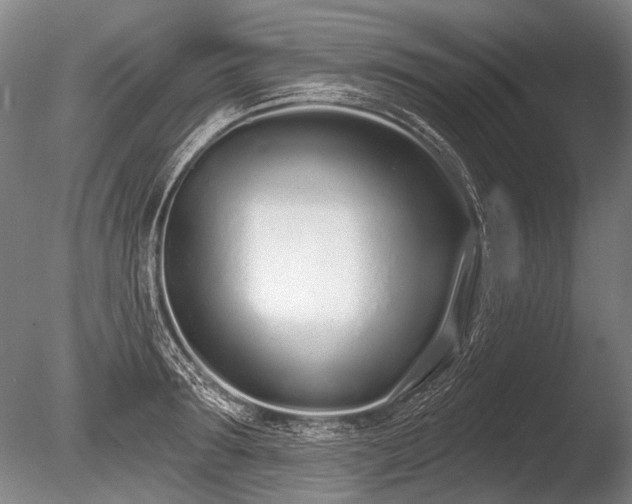 X0000086250899200703291403