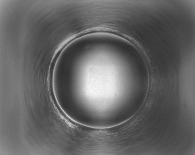 X0000086250902200703291403
