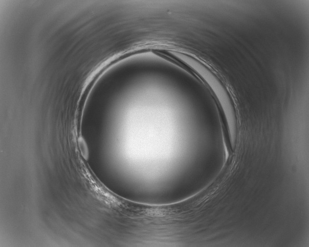 X0000086250904200703291403