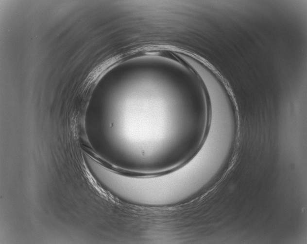 X0000086250905200703291403