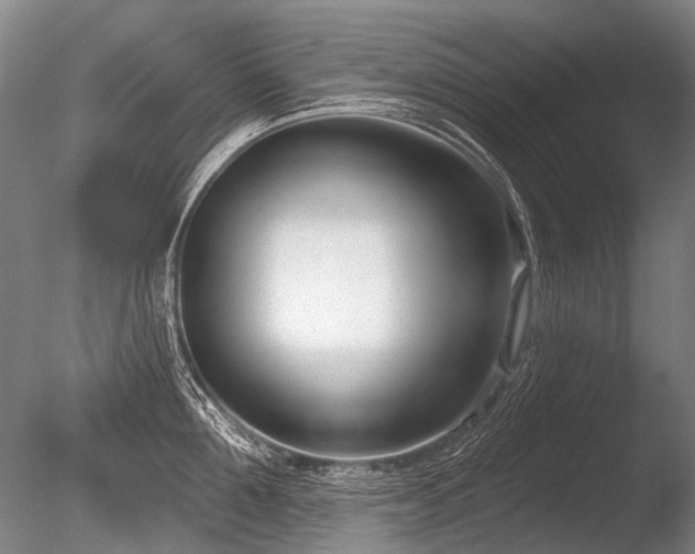 X0000086250907200703291403