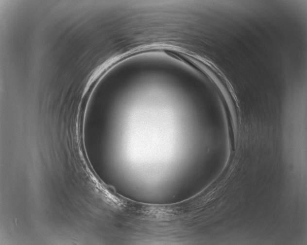 X0000086250910200703291403