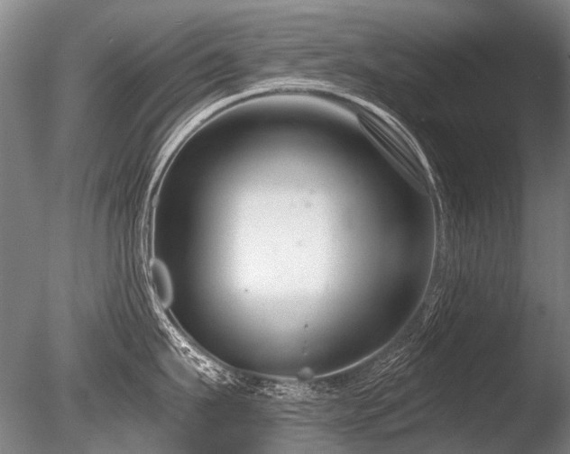 X0000086250911200703291403