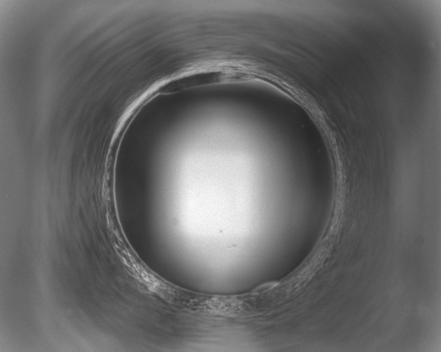 X0000086250912200703291403