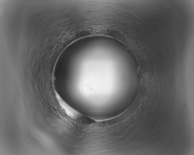 X0000086250913200703291402