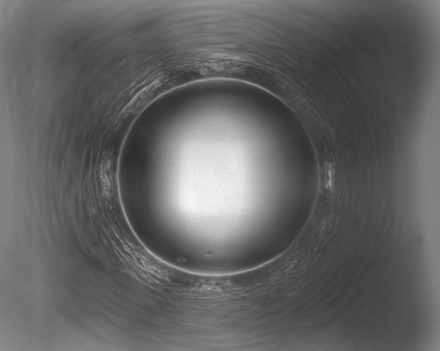 X0000086250915200703291402