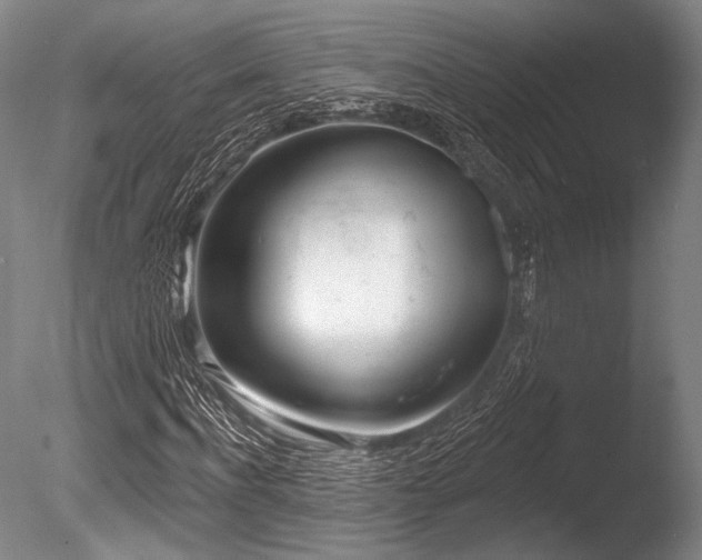 X0000086250916200703291402