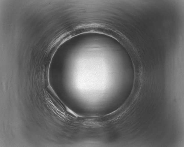 X0000086250921200703291402