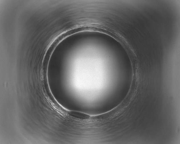 X0000086250924200703291403