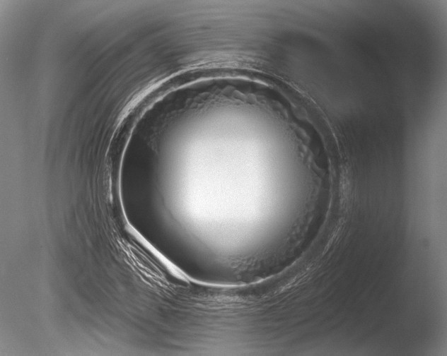 X0000086250925200703291403